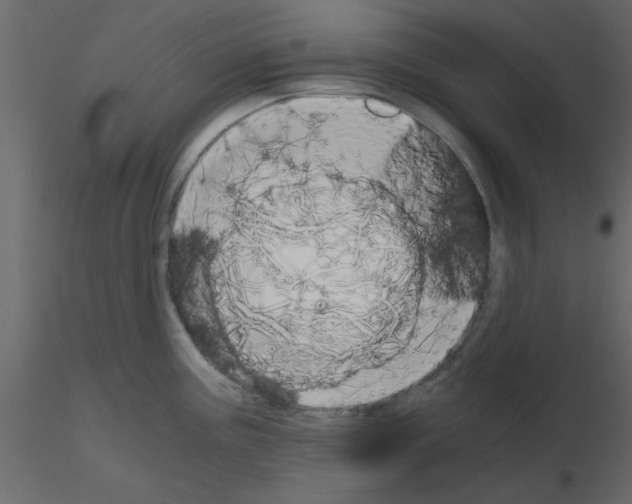 X0000115661195200912241352