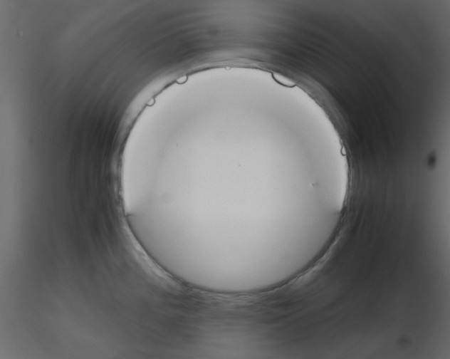 X0000115661196200912241352