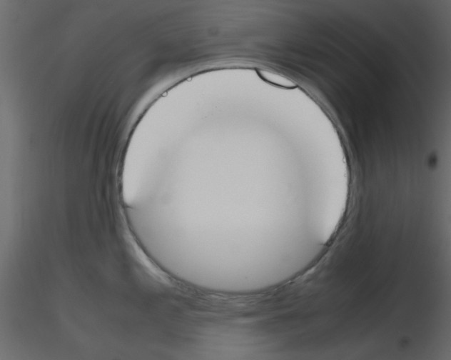 X0000115661197200912241352