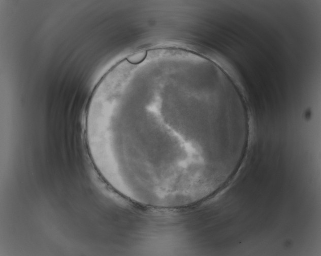 X0000115661198200912241352