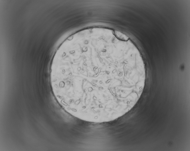 X0000115661199200912241352