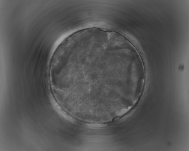 X0000115661200200912241352