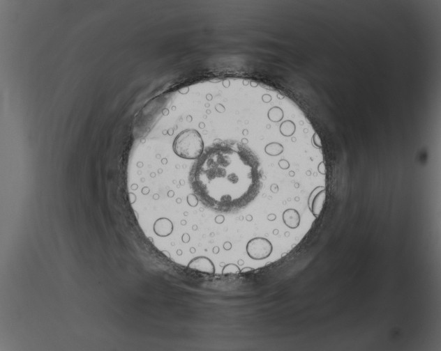 X0000115661201200912241351