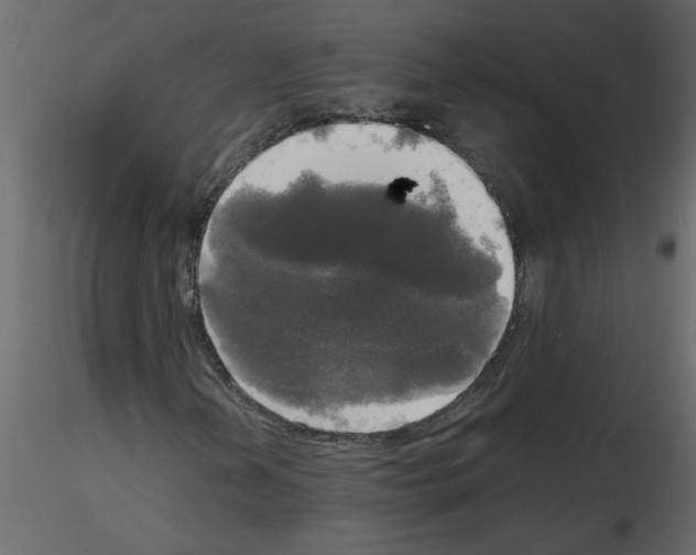 X0000115661202200912241351