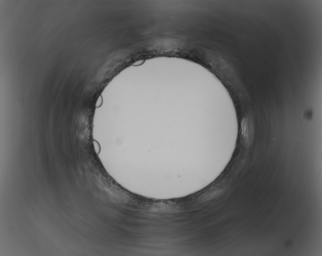 X0000115661203200912241351