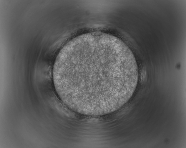 X0000115661204200912241351