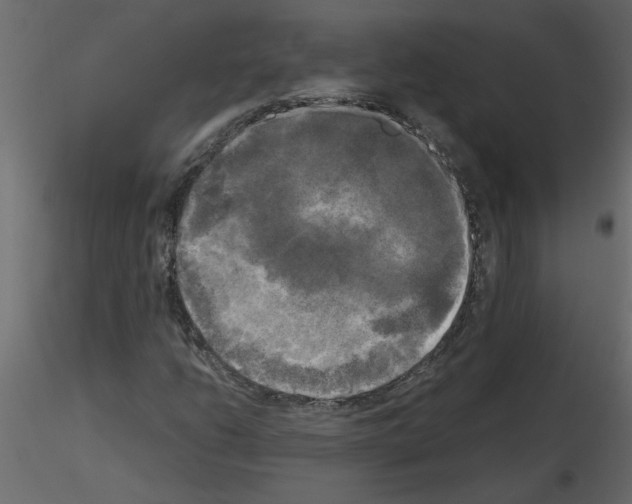 X0000115661206200912241351