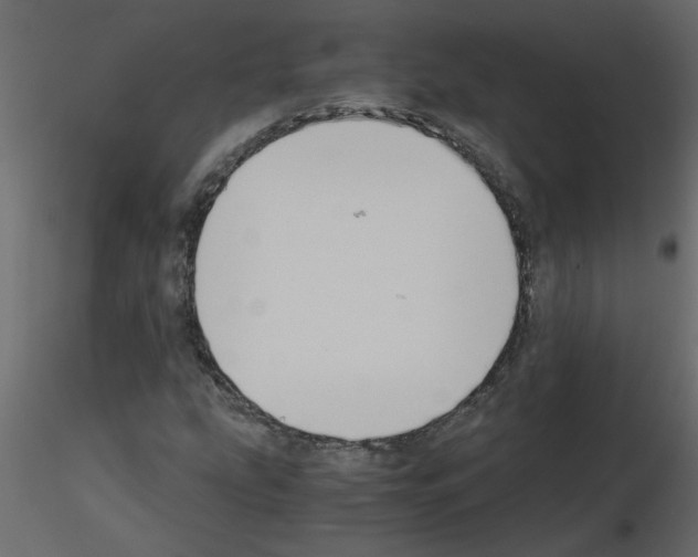 X0000115661207200912241351