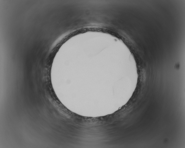 X0000115661208200912241351