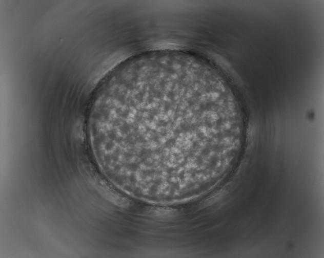 X0000115661209200912241352