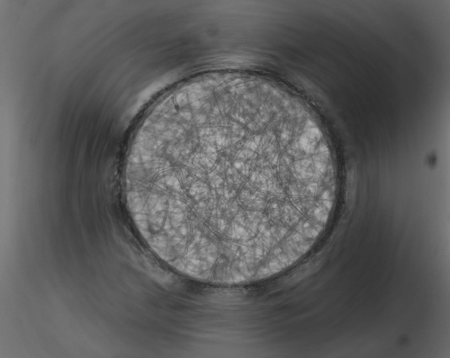 X0000115661210200912241352