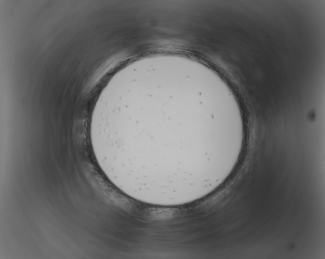 X0000115661211200912241352