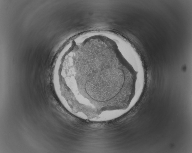 X0000115661212200912241352