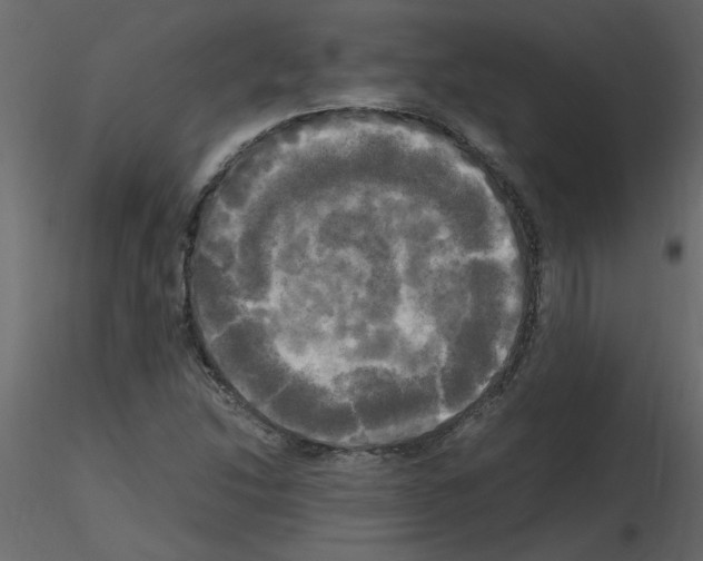 X0000115661214200912241352