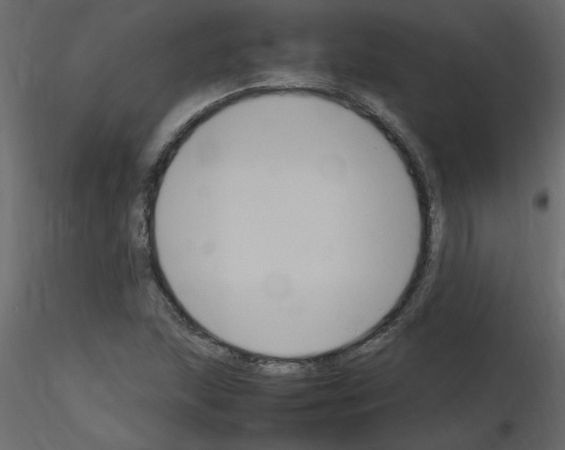 X0000115661215200912241352