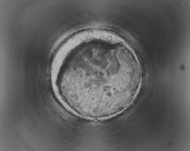 X0000115661216200912241352