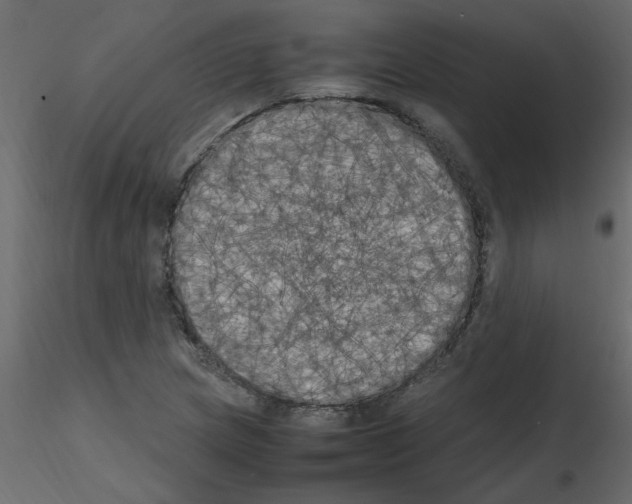 X0000115661217200912241352