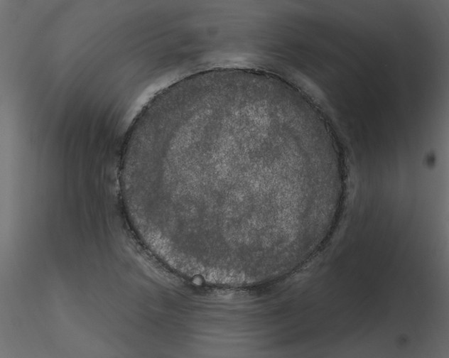 X0000115661218200912241352