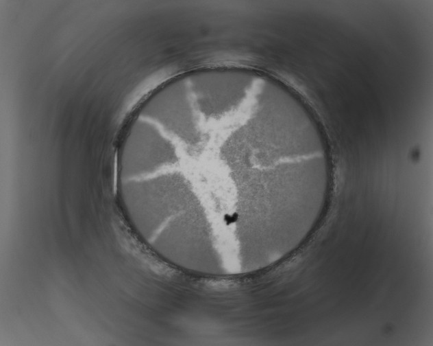 X0000115661219200912241352