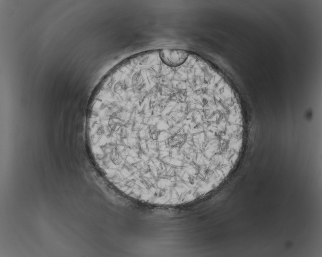 X0000115661220200912241352