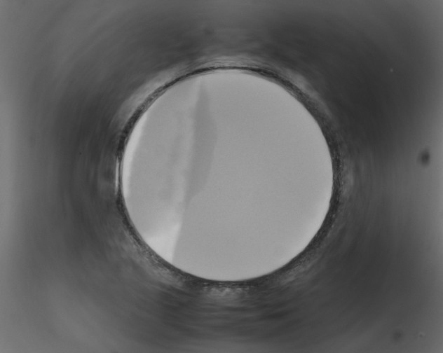 X0000115661221200912241352