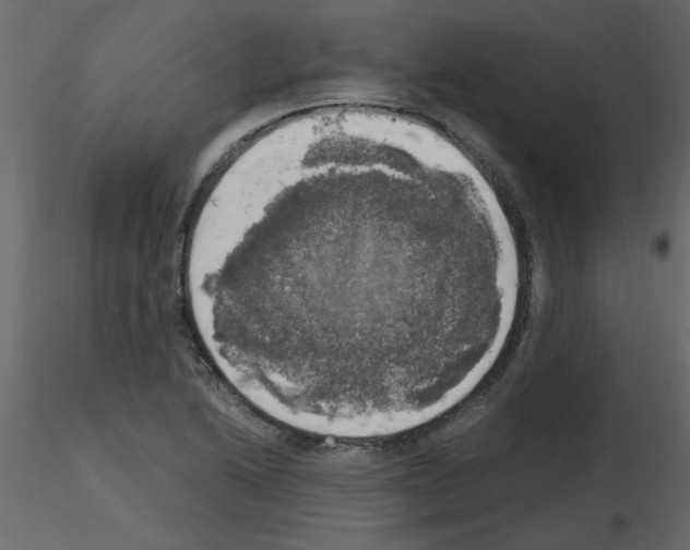 X0000115661222200912241352