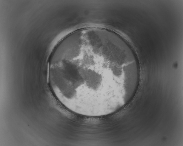 X0000115661223200912241352