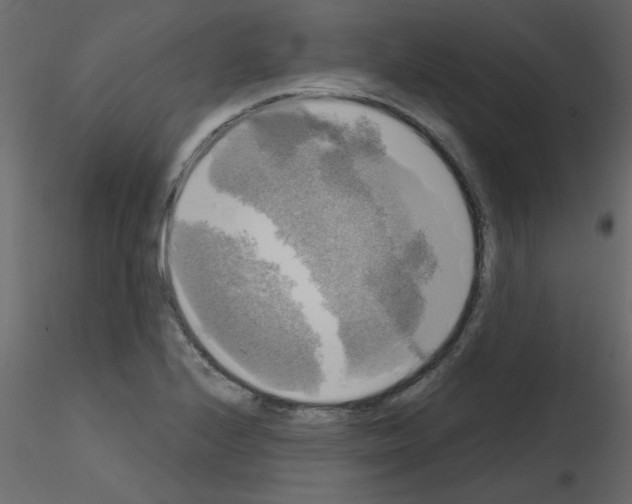 X0000115661224200912241352