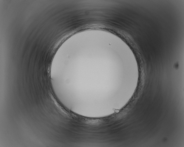 X0000115661225200912241352