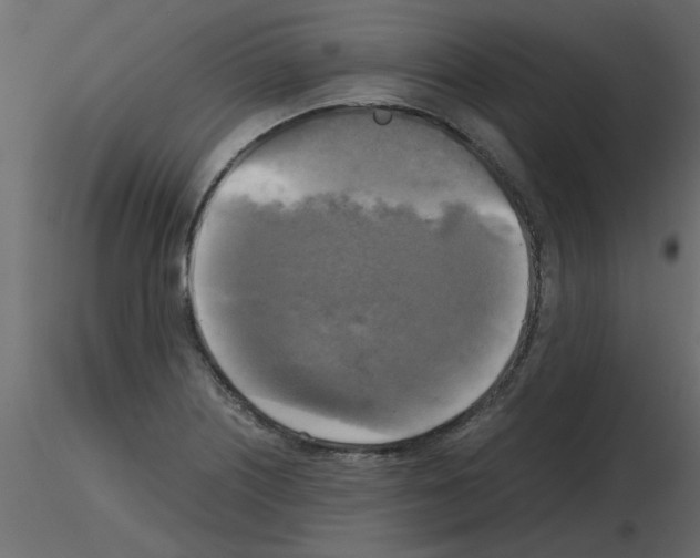 X0000115661226200912241352