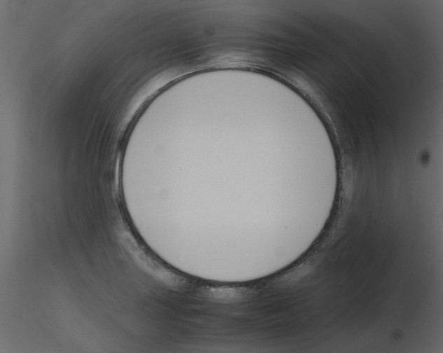 X0000115661227200912241352