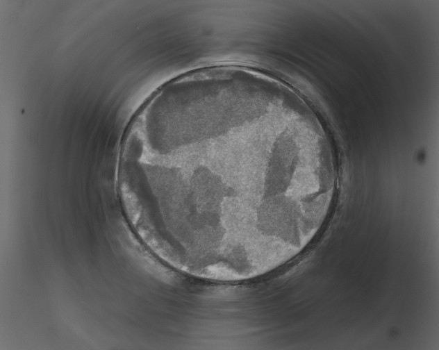 X0000115661228200912241352