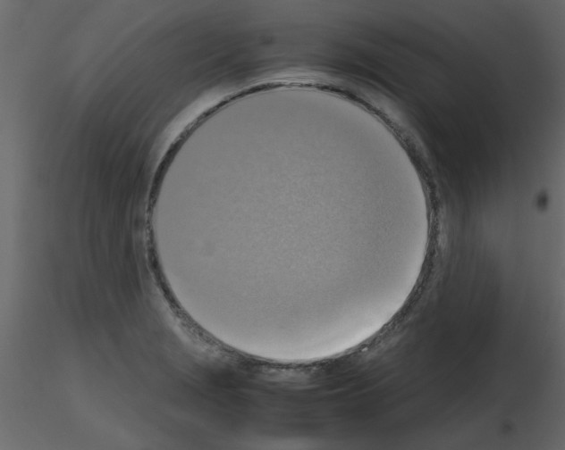 X0000115661229200912241352