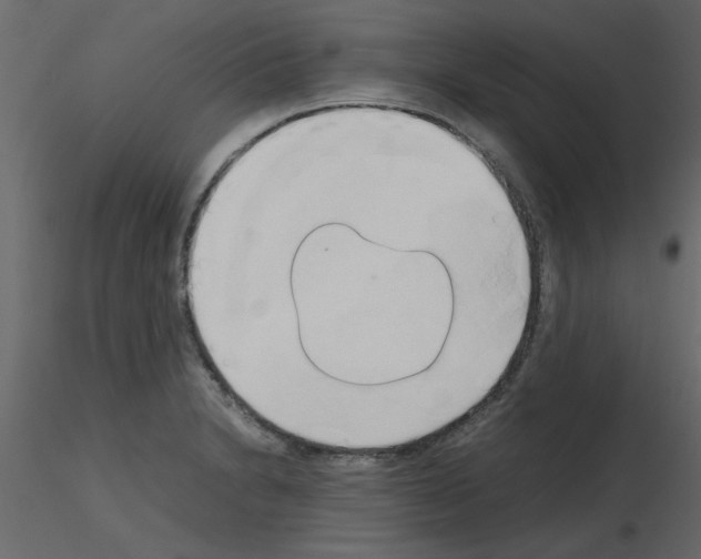 X0000115661230200912241352