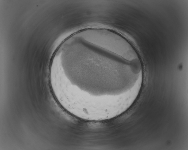 X0000115661231200912241352