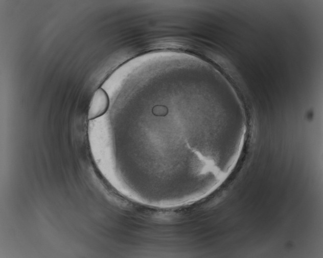 X0000115661233200912241352