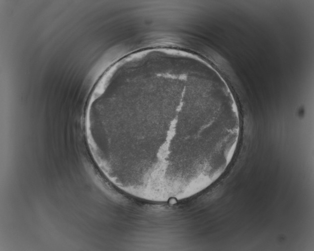 X0000115661234200912241352