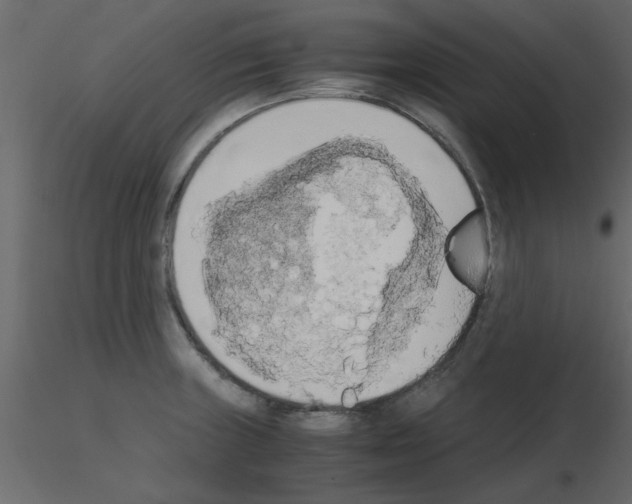 X0000115661235200912241352