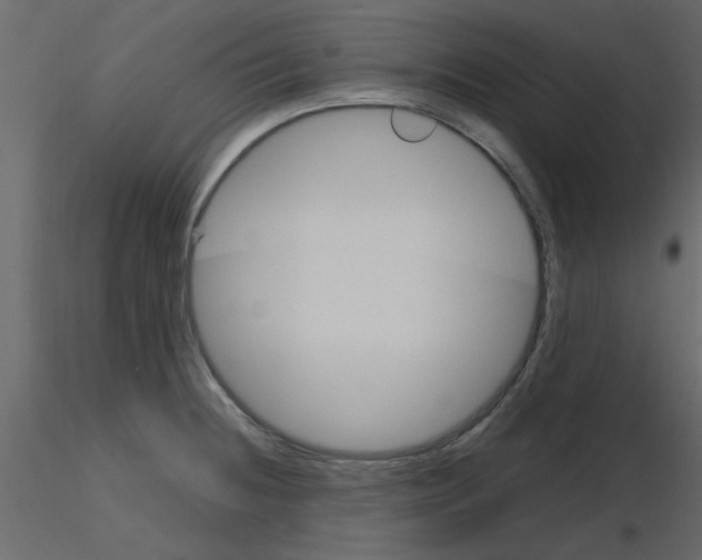 X0000115661236200912241352