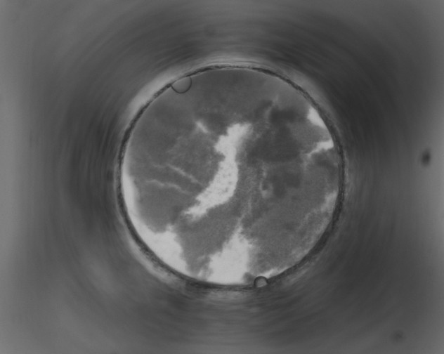 X0000115661237200912241352