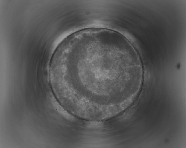 X0000115661238200912241352