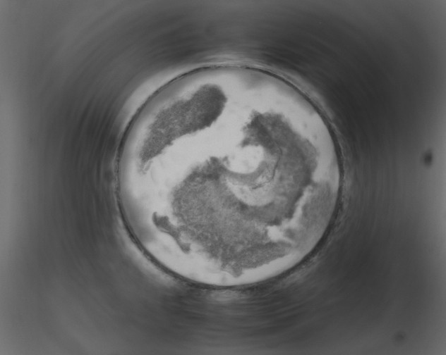 X0000115661239200912241352