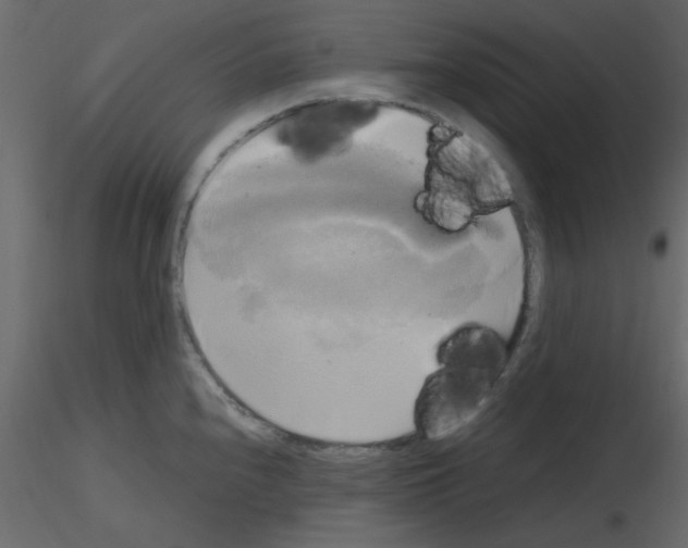 X0000115661240200912241352