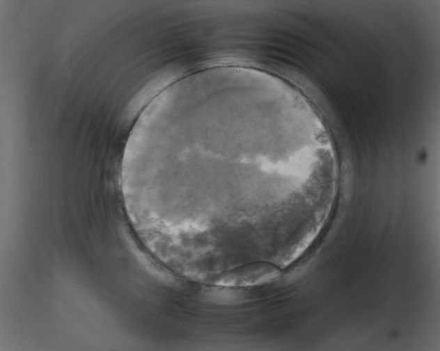 X0000115661241200912241352