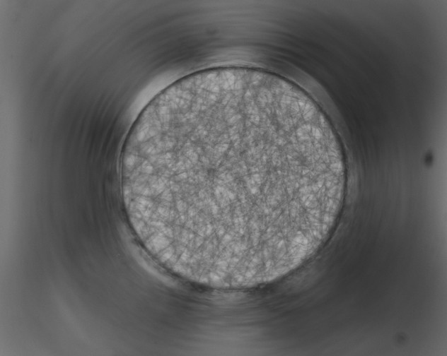 X0000115661242200912241352