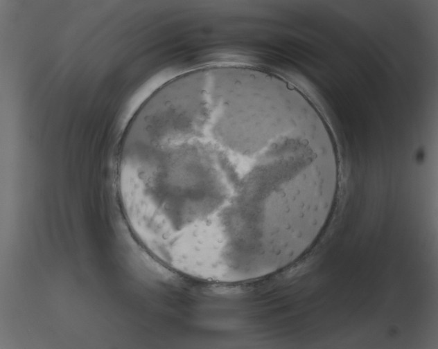 X0000115661243200912241352