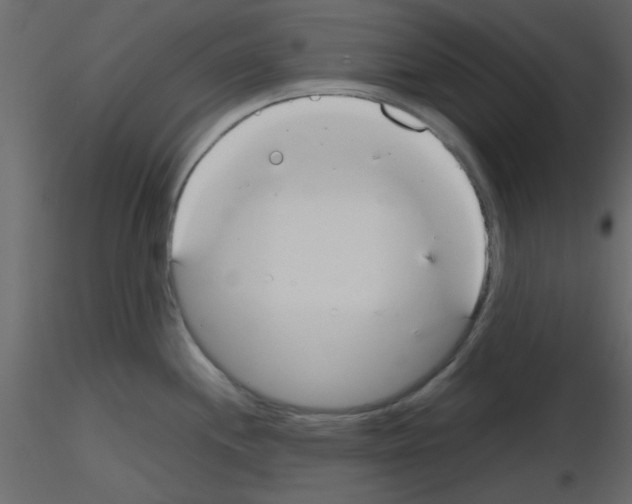 X0000115661244200912241352