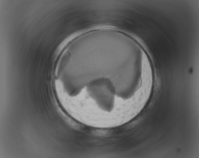 X0000115661245200912241352