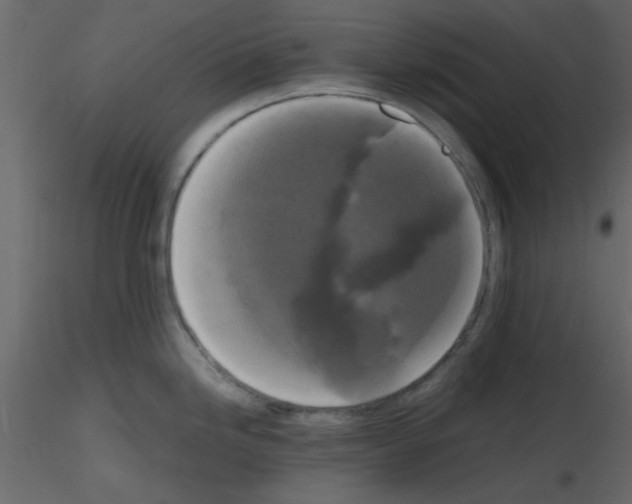 X0000115661246200912241352