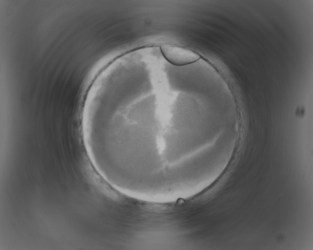 X0000115661248200912241352